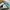 AIR JORDAN 1 Mid Tropical Twist Igloo ORIGINAL photo 5
