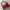 Coquette Casual Handbag Wanita Red