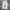 VINTAGE SOUTHPOLE BAGGY PANTS photo 2