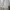Fear of God ESSENTIALS Luxury Casual T-shirt Pria tan photo 7