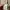 Fear of God ESSENTIALS Luxury Casual T-shirt Pria tan photo 6