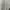 Fear Of God ESSENTIALS Luxury Casual T-shirt Pria Tan