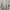 Fear of God ESSENTIALS Luxury Casual T-shirt Pria tan photo 4