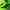 Adidas Adizero Evo SL Lime Green Black