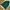 Adidas Tracktop Three Stripes Collegiate Green photo 2