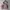 Vintage Zip Up Hoodie Trivium Boxy photo 1