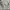 H&M Vintage Cardigan Wanita white photo 7