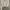 H&M Vintage Cardigan Wanita white photo 4