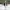 Cotton On Streetwear Skater Jeans Pria multicolor photo 5