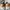 VANS Size 45 Zapato Del Barco Boat Loafer Mulus photo 7