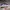 Adidas duramo sl2 running shoes photo 1