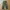 Korean military Loosepants bahan katun tebal photo 1