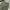 LONGPANTS GREEN ARMY BASIC photo 4