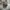 Nike Streetwear Hat Pria brown photo 1
