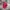 New Era Streetwear Hat Pria red photo 1