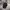 Levi's Streetwear Hat Pria Black