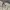 Dickies WorkShirt Big Patch + Spelout Back photo 5