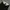 Dickies 874 Black photo 4