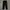 Dickies 874 Black photo 2