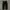 Dickies Celpo Double Knee Black