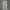 Dickies 874 Grey photo 2