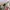 Michael Kors Luxury Minimalist Handbag Wanita White Pink