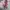 Michael Kors Luxury Minimalist Handbag Wanita white pink photo 6