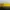 Balenciaga Luxury Handbag Wanita yellow photo 3