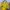 Balenciaga Luxury Handbag Wanita yellow photo 5