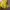 Balenciaga Luxury Handbag Wanita yellow photo 6