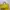 Balenciaga Luxury Handbag Wanita yellow photo 2