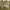 Michael Kors Luxury Handbag Wanita tan khaki cream photo 5
