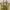Michael Kors Luxury Handbag Wanita Tan Khaki Cream