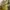 Michael Kors Luxury Handbag Wanita tan khaki cream photo 4