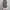 Top grey photo 1
