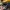 Racing Hat. Vintage TRD Toyota Racing Development Sunfading photo 5