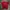 Jersy adidas  photo 1