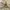 beige babydoll dress photo 4
