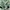Gamis Green Flowers photo 2