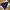 Adidas Tracktop Three Stripes Blue Navy photo 8