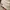 Apple watch series 6 photo 1