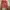 Atasan crop photo 1