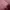 Pashmina Silk photo 2