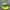 Sportswear Biker Hat Pria green photo 1