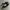 VANS AUTHENTIC COMFYCUSH BLACK WHITE photo 1
