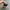 VANS AUTHENTIC COMFYCUSH BLACK WHITE photo 6