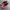 VANS SLIP ON 47 DX X FEAR OF GOD “BLACK/RED” photo 1