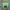 Y2K Futurist Hat Pria green black photo 4