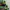 Y2K Futurist Hat Pria green black photo 5