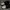 Shop at Blow Loafers Black photo 6